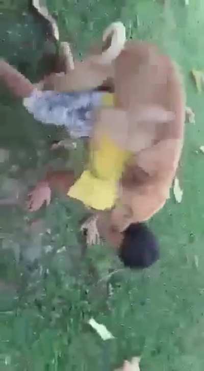O caramelo entendeu do jeito errado