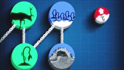 Matpat rule
