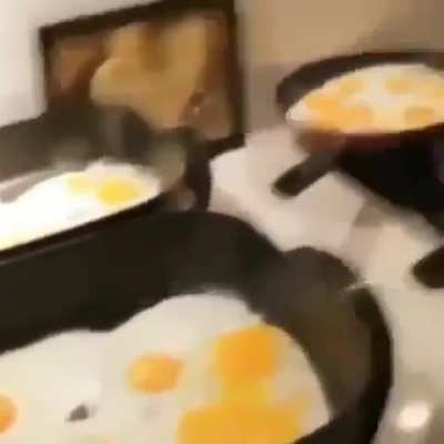 egg egg egg egg