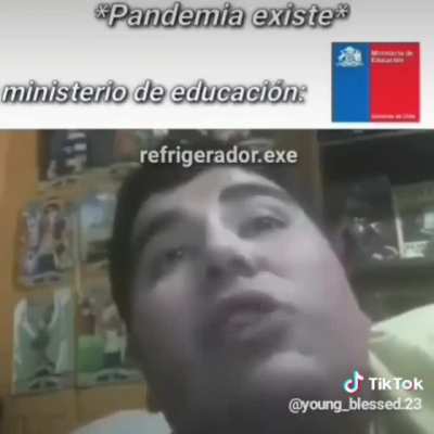 gobierno de Chile