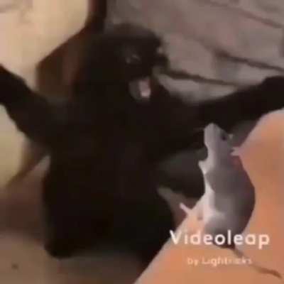 title