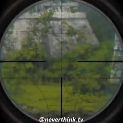 Sniper monkey