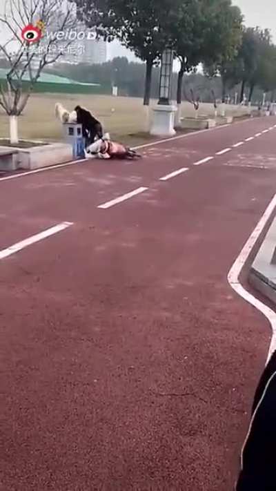 Охуел кататься тут?!