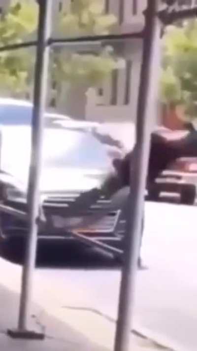 Гуталин познаёт физику