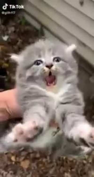 He is not happy
