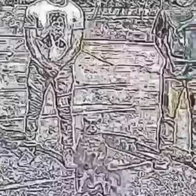 is this video real?