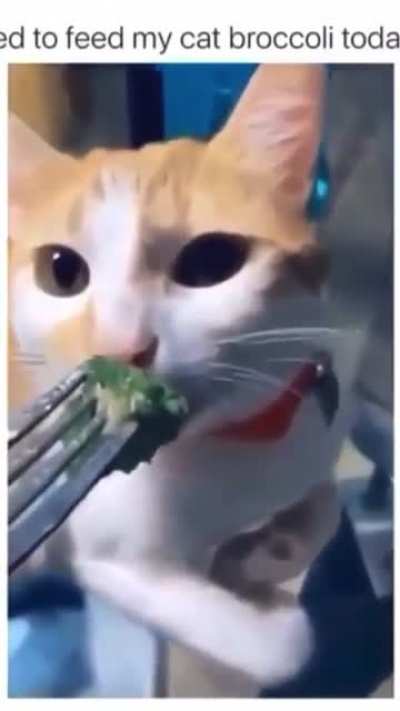 me_irl