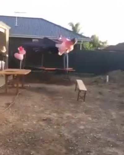 Trying to jump on a table