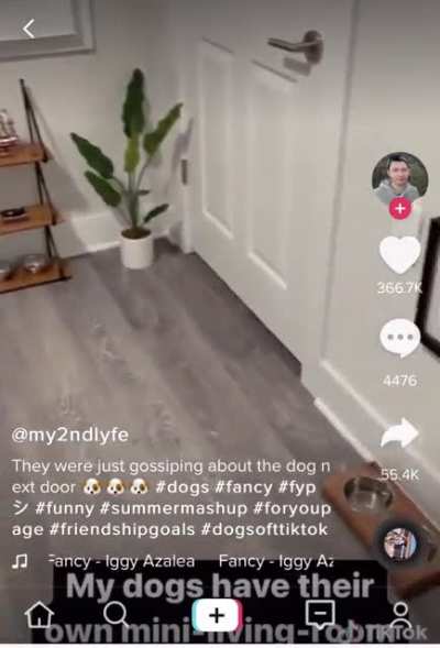 Doggy living room!