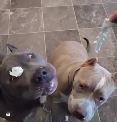 Maybe maybe maybe