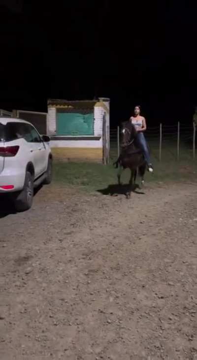 Trot little horse, trot!
