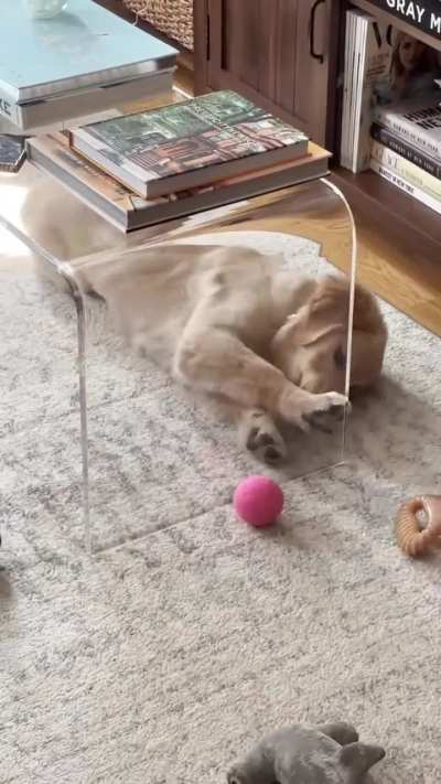 Too cute