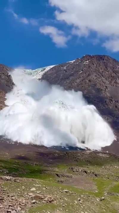 To Capture an AVALANCHE 🥶