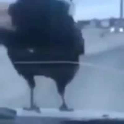 ..-. .- .-. - ..-. .- .-. - ..-. .- .-. -