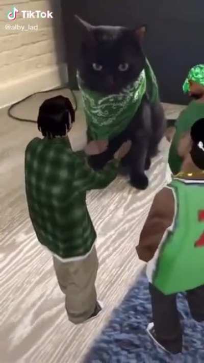 the_hood.mp4