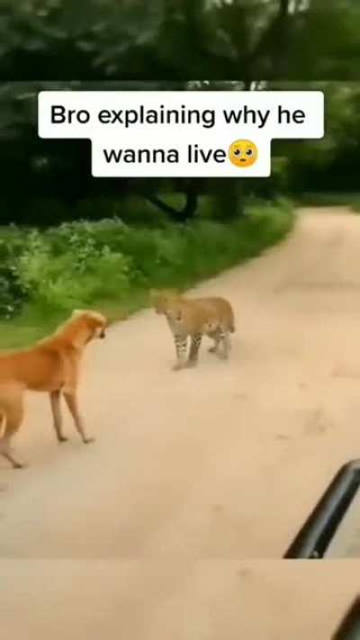 Understandable. Have a great day.