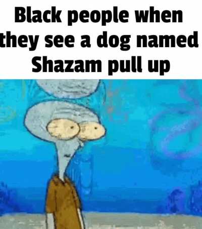 I has a dream that people who named their dogs "Shazam" were significantly more likely to assault black people. Don't ask, I don't know why.