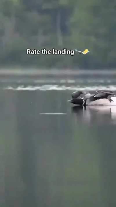 That was some smooth landing