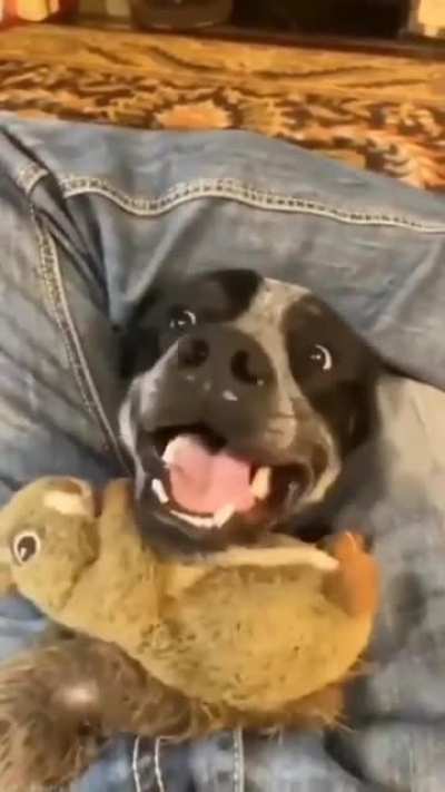 A gift!