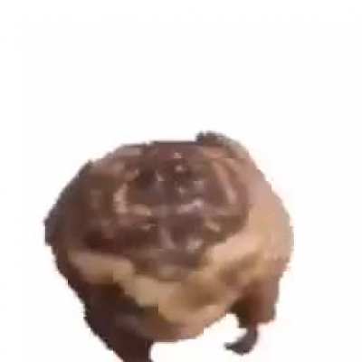Title