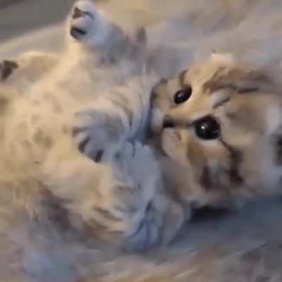 very smol