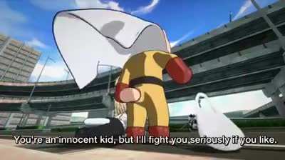 One Punch Cat