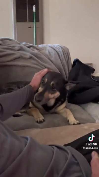 &ldquo;I didn&rsquo;t say you can stop petting me&rdquo;
