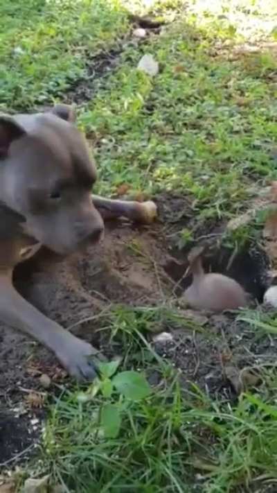 &ldquo;Get off my property&rdquo;