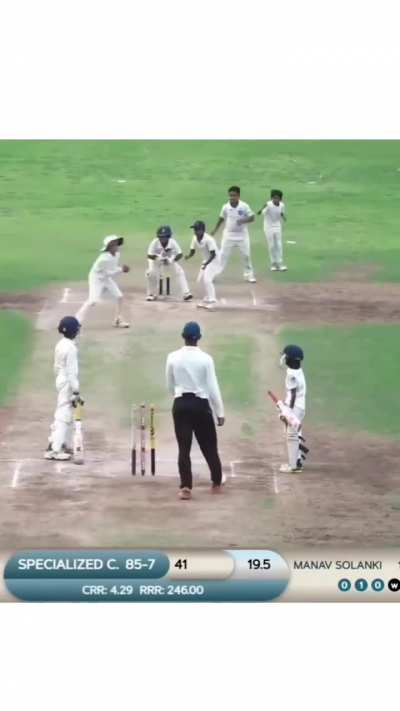 Top-tier cricket all around 