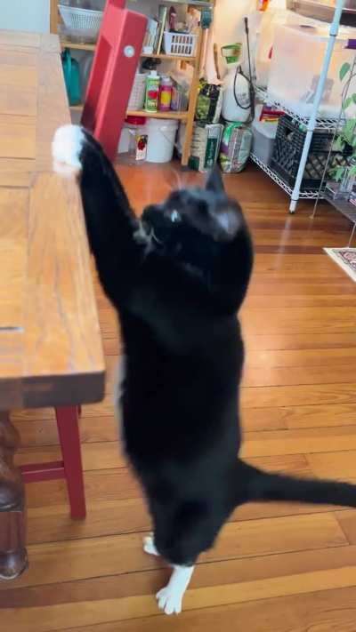 She&rsquo;s not the most coordinated