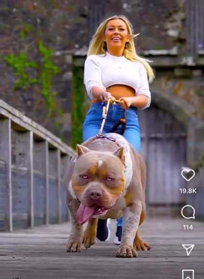 This is why attacks happen..small woman with that massive dog…