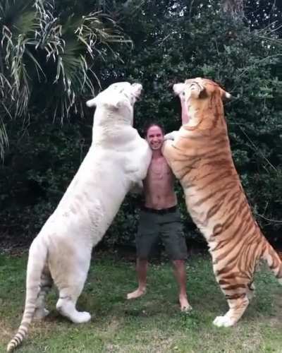 Feeding two units