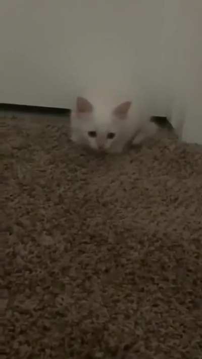 Don't do that pounce thing