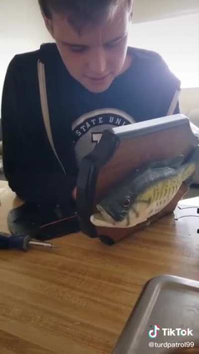 it&rsquo;s ya fishboy