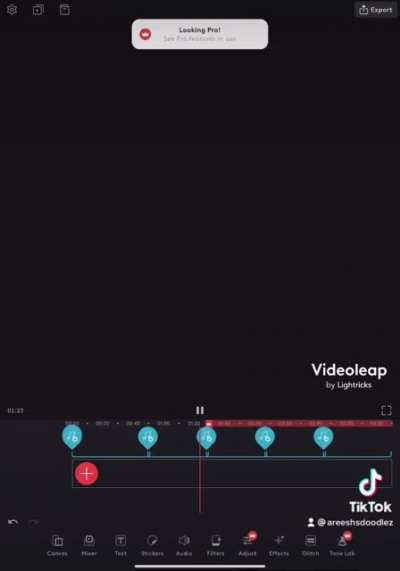 Here&rsquo;s a cursed mashup I made that TikTok later muted, I won&rsquo;t reupload it cuz I don&rsquo;t wanna lose my account, and I now disown this mashup