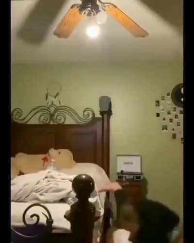 Trying to kick a roll of toilet paper