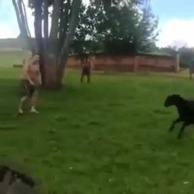 This looks fun, until done with a bull.