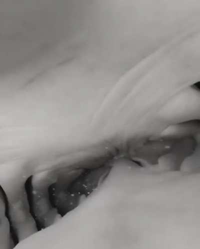 Shark eats diver&rsquo;s camera and it&rsquo;s incredible