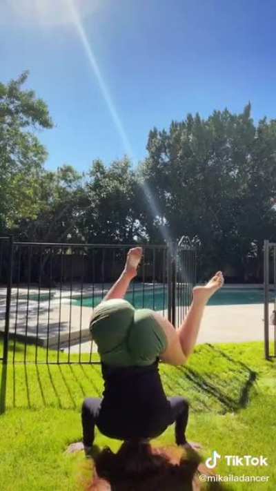 Stunt Ass on Display