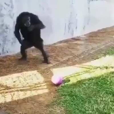 ⠀