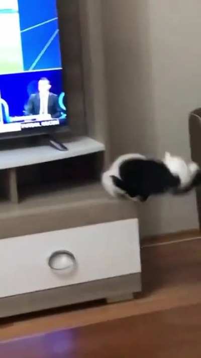 Miscatculation