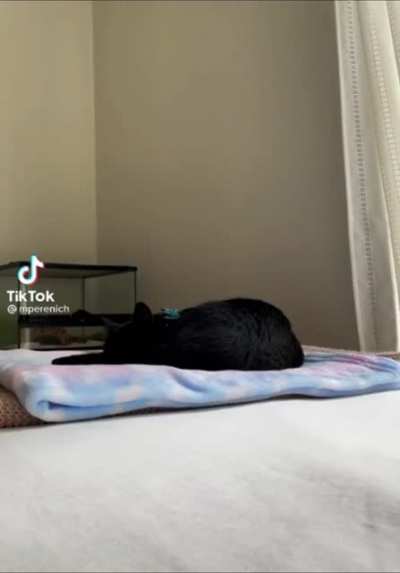 Sorry, didn't see you there.