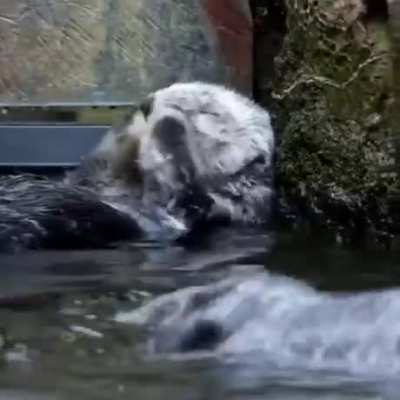 Just cleaning myself