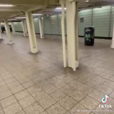 Trashcan suspiciously explodes on NYC subway platform.