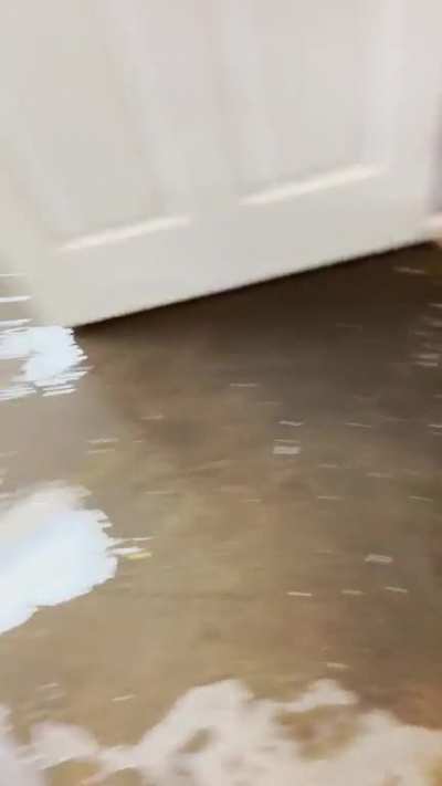 It&rsquo;s just one of those vacuuming up sewage kinda days