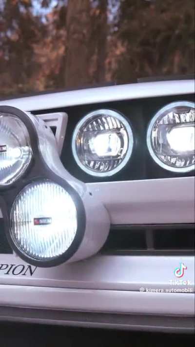 The fallen leaves surround a EVO37 Martini7 Rally Montecarlo