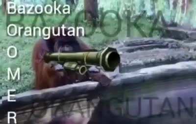 Yes...