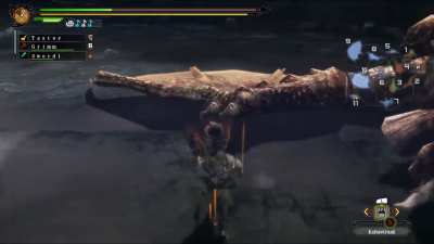 Been replaying MH3U with the homies again and cought this gem of a clip xD