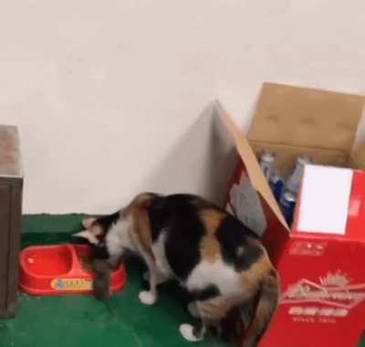 MRW my visitor thinks my food sucks