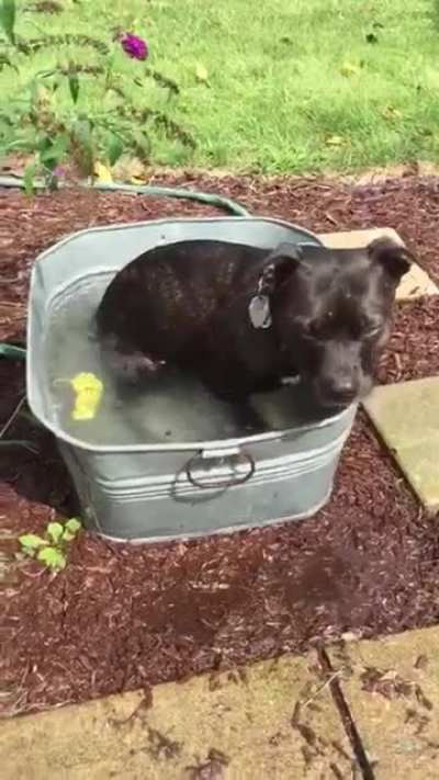 Doing A Zoom
